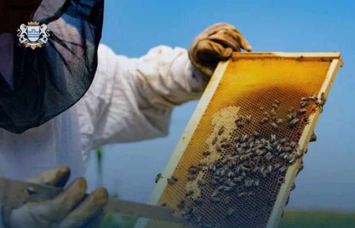 Podgorica: Realizovana mjera podrške „Premije za košnice“, za sektor pčelarstva opredijeljeno 70.000 eura