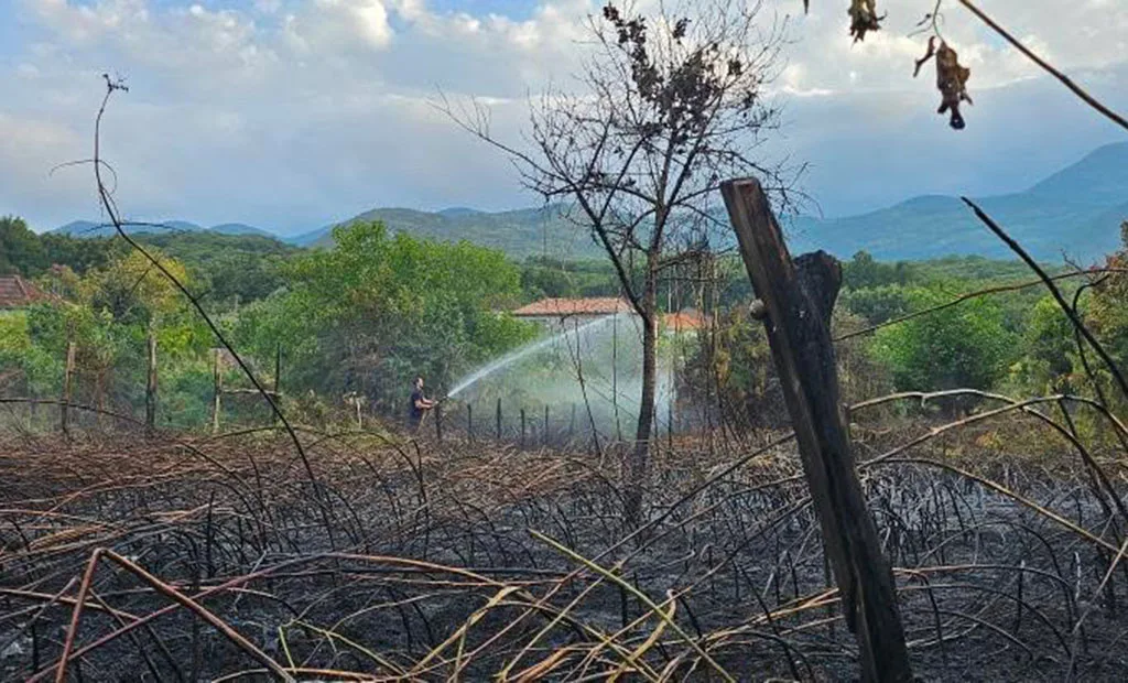 Požar u Ostrosu stavljen pod kontrolu, sačuvana groblja i kuće
