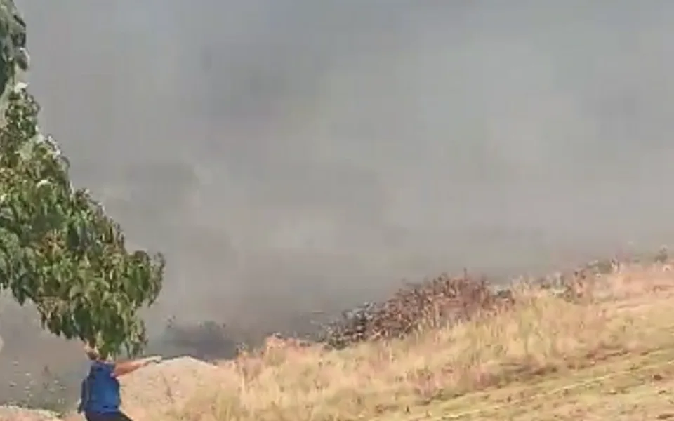 Požar zahvatio Sadine