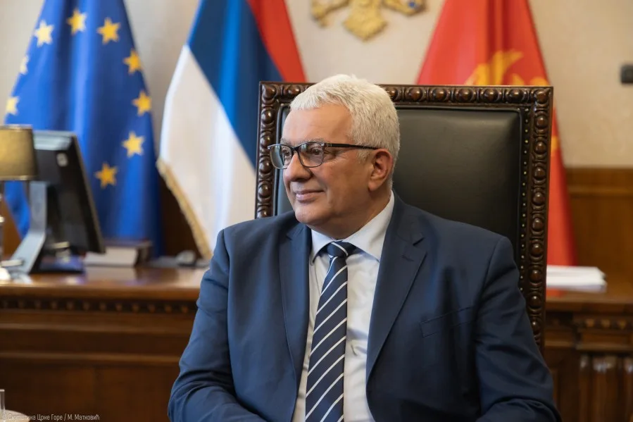 Mandić: Nikšić predstavlja živi most između bogate tradicije i modernih evropskih stremljenja