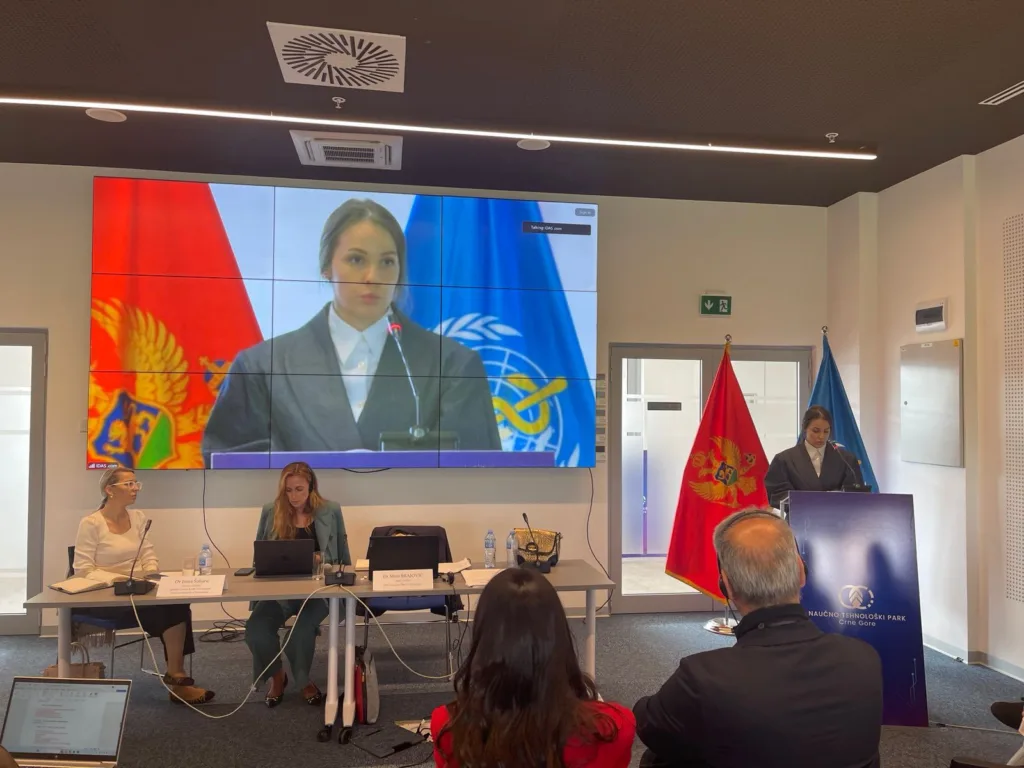 Ministarstvo zdravlja u saradnji sa SZO nastavlja radionice u okviru Obuke iz oblasti kvaliteta i bezbjednosti pacijenata