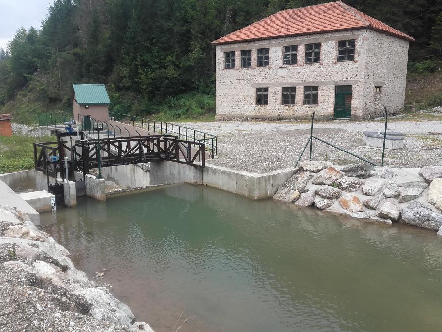 U Šekularu stradao strani državljanin?