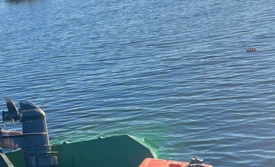 Nadzornici spasili tri osobe na Skadarskom jezeru