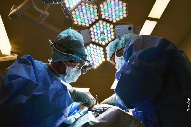 Prvi put uspješno transplantirano svinjsko plućno krilo kod čovjeka