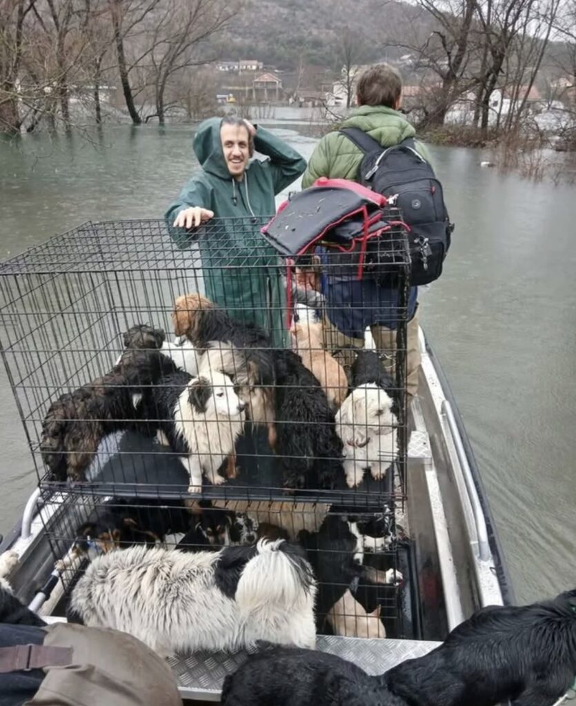 Psi iz azila u Danilovgradu spašeni od poplava
