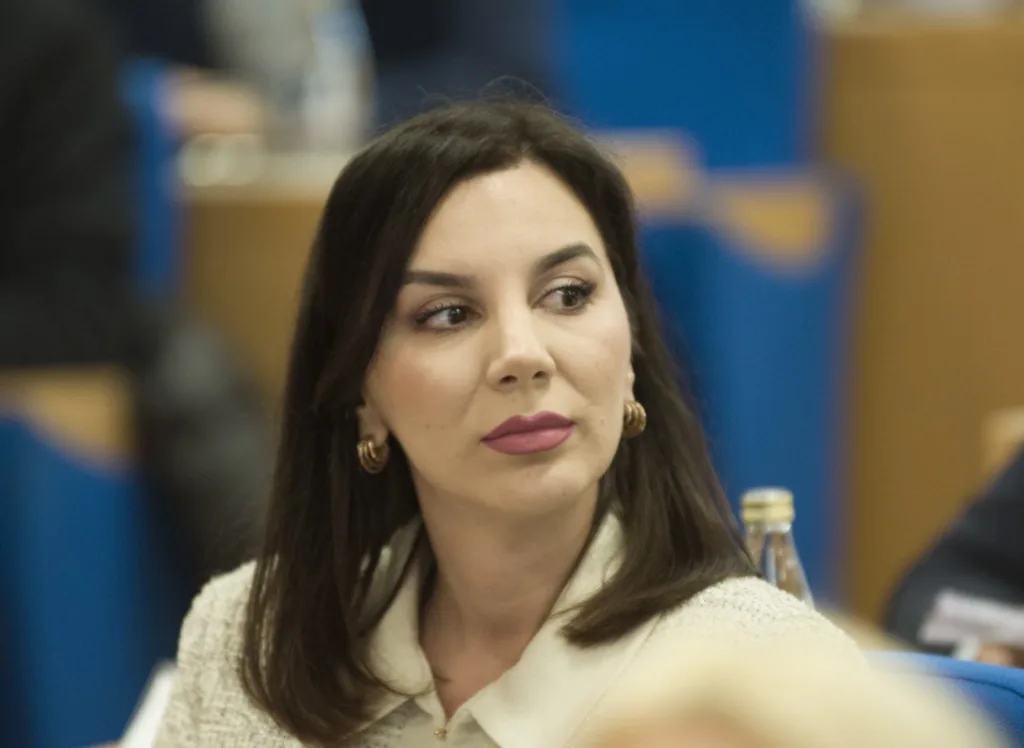 Mićović: DPS daje savjete iz opozicije, a za vrijeme vlasti rasprodali sve kanadere