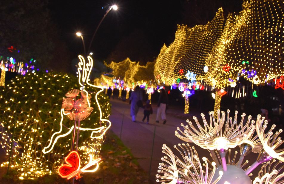 Praznični muzički program u univerzitetskom kampusu 8. januara: Karaoke za najmlađe