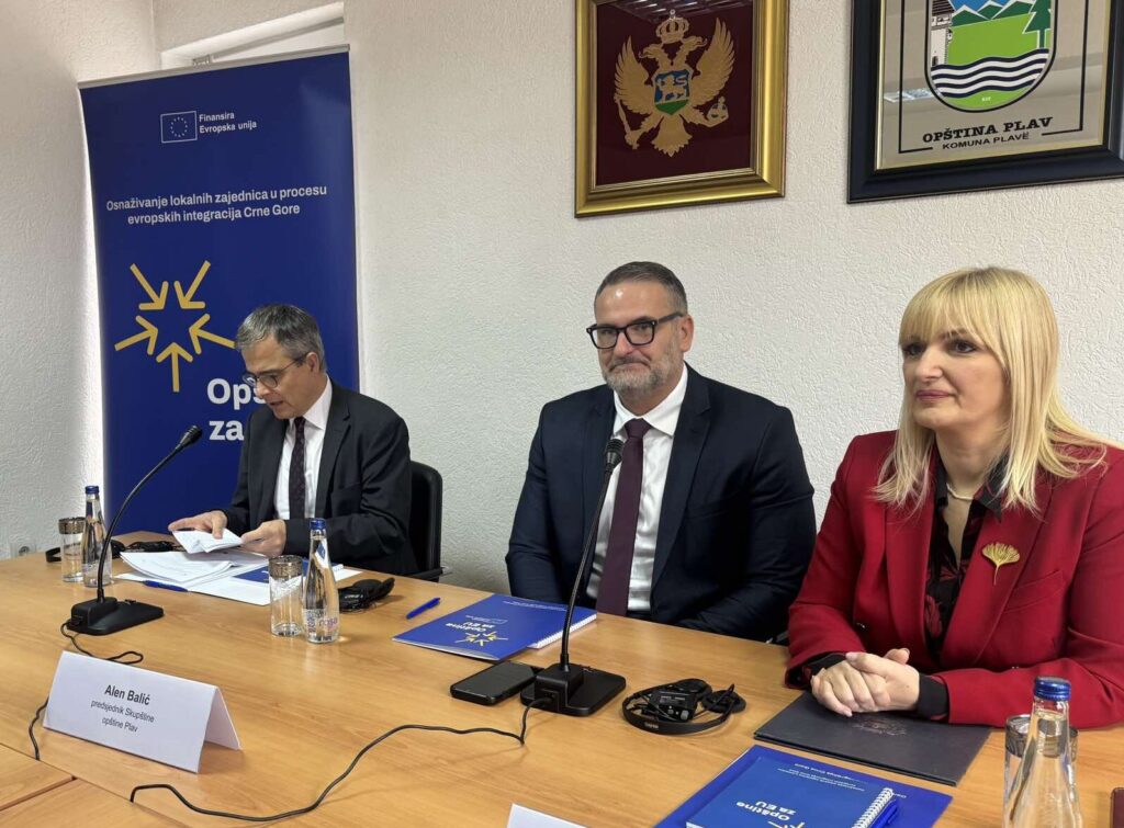 Borovinić Bojović: Jake lokalne samouprave su temelj uspješnih evropskih integracija